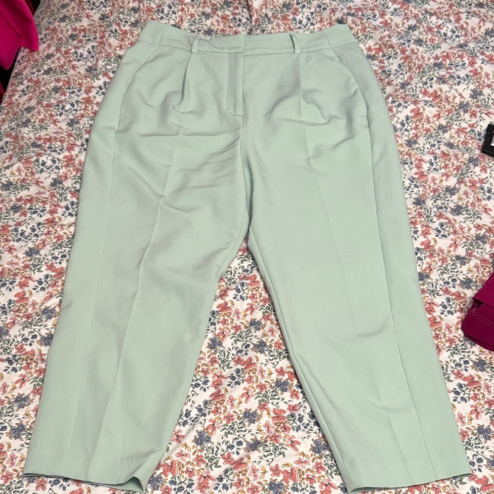 Express Women's Light Green Cropped Pants